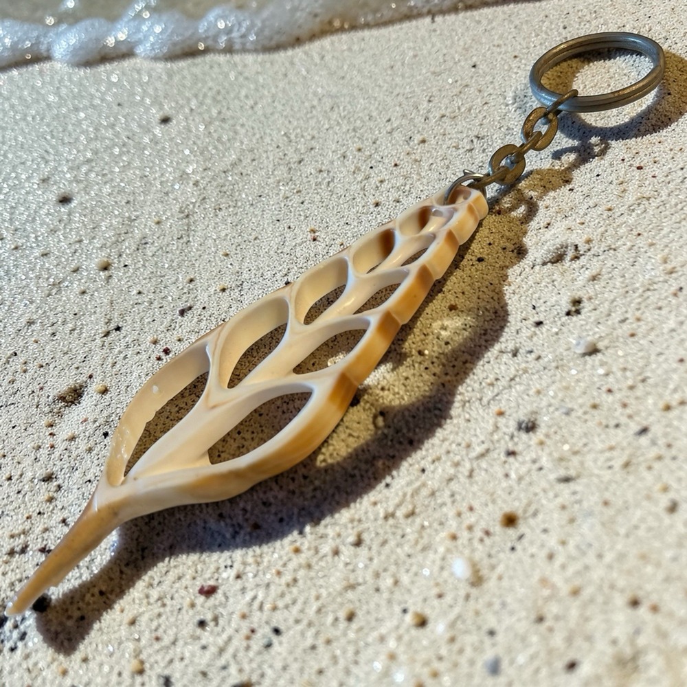 Seashell Shell Keychain Keyring Sliced Conch Vintage Beach Souvenir Fob Natural